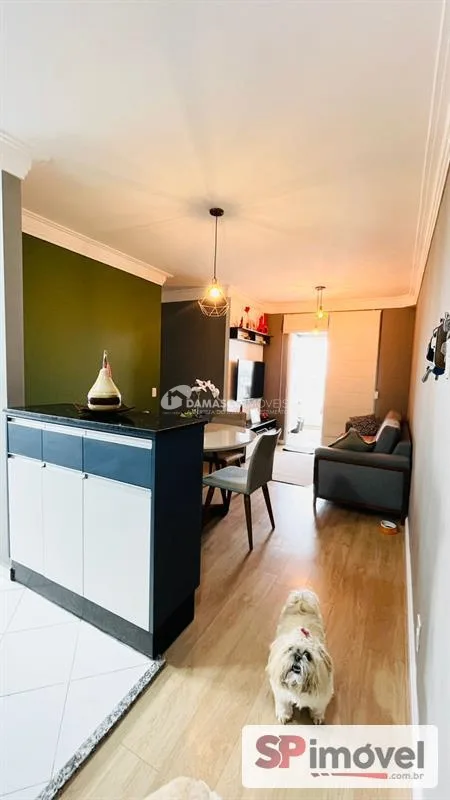 Apartamento à venda, Vila Curuçá, Santo André, SP