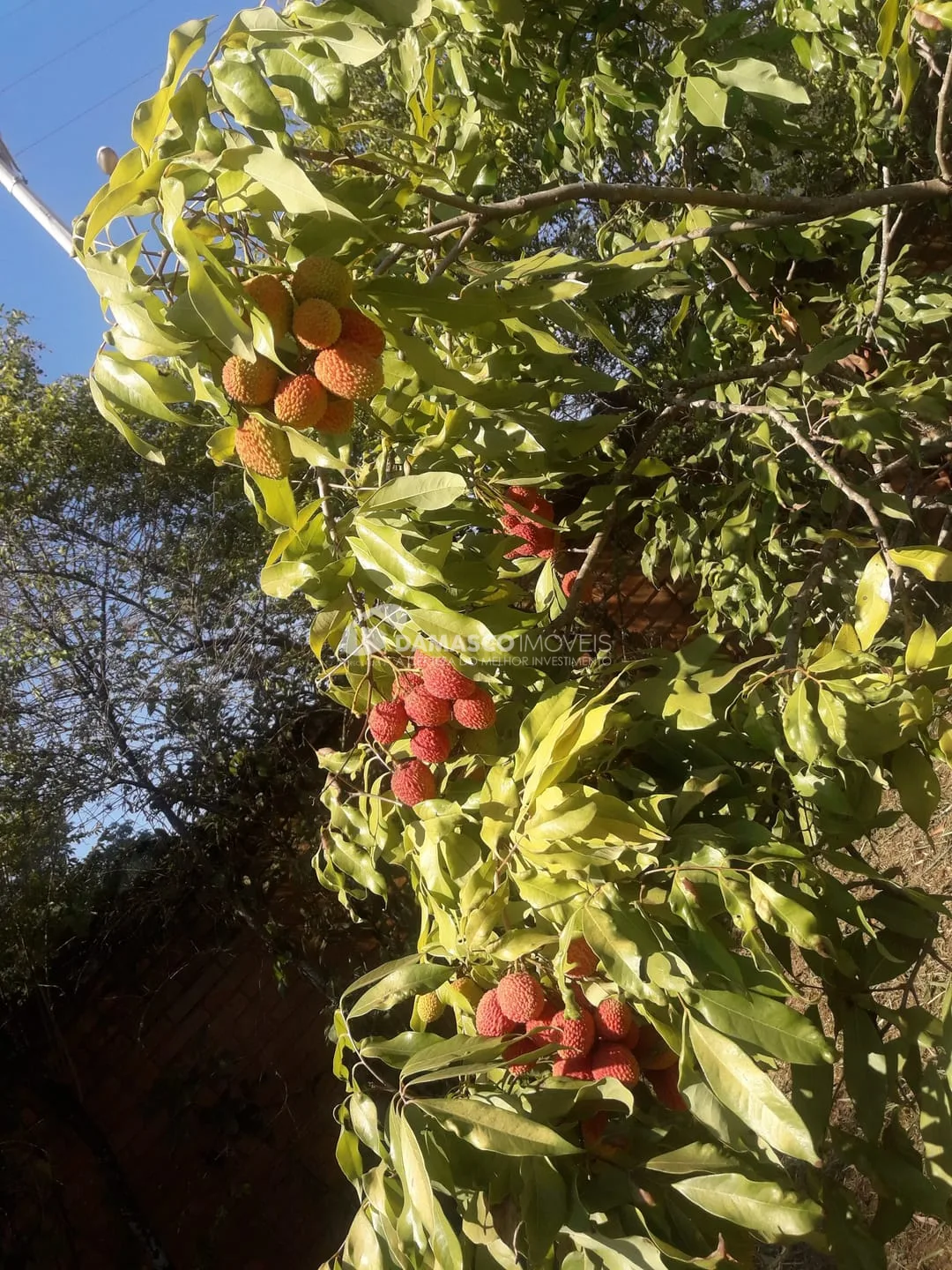 Chácara à venda, Chácara dos Pinhais, Boituva, SP