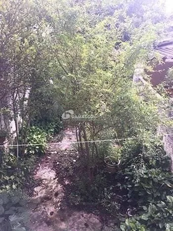 Sobrado à venda 3 Quartos, 1 Suite, 3 Vagas, 263M², Barcelona, São Caetano do Sul - SP