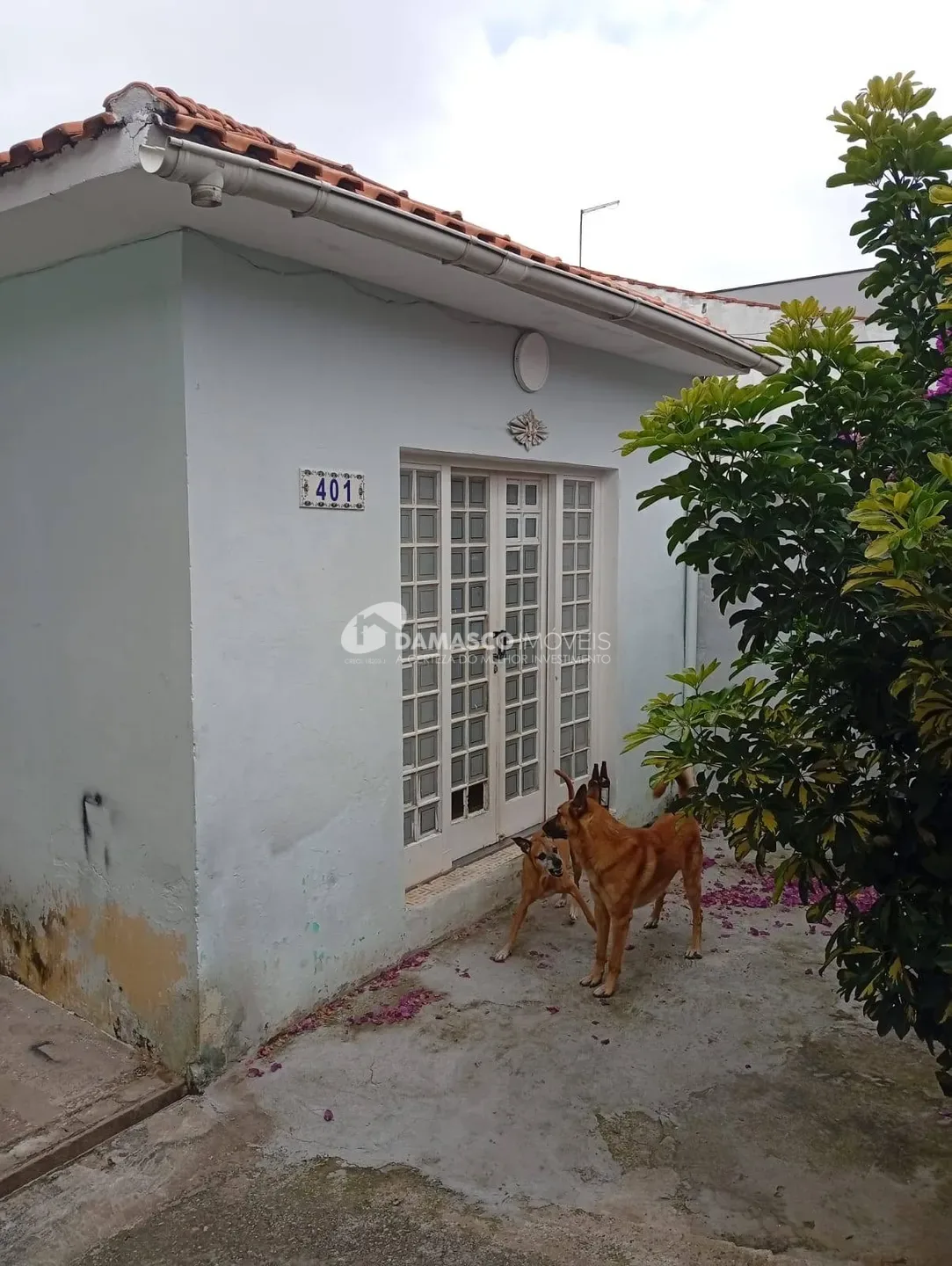 Casa à venda, Olímpico, São Caetano do Sul, SP