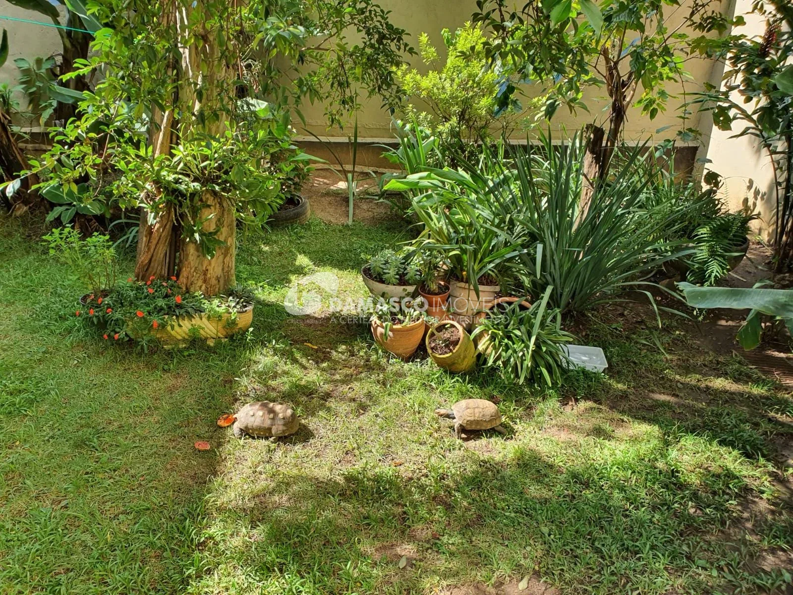 Casa à venda, Osvaldo Cruz, São Caetano do Sul, SP