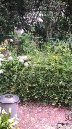 Terreno à venda Cerâmica, São Caetano do Sul - SP