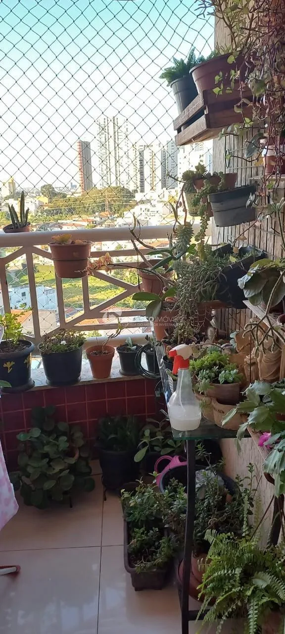 Apartamento à venda com 3 Quartos, 1 Suite, 2 Vagas, Santa Maria, São Caetano do Sul - SP | EDIFICIO AMSTERDAM
