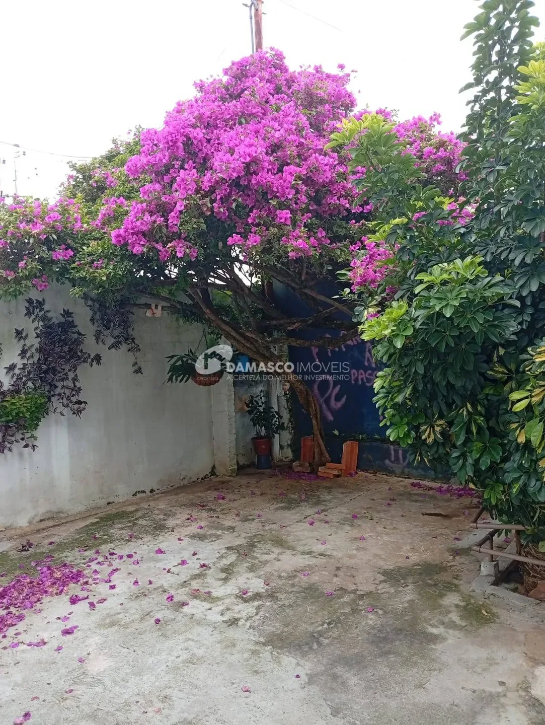 Casa à venda, Olímpico, São Caetano do Sul, SP
