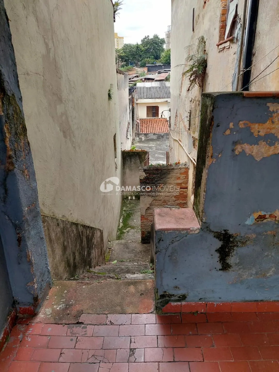 Casa à venda Santa Maria, São Caetano do Sul - SP