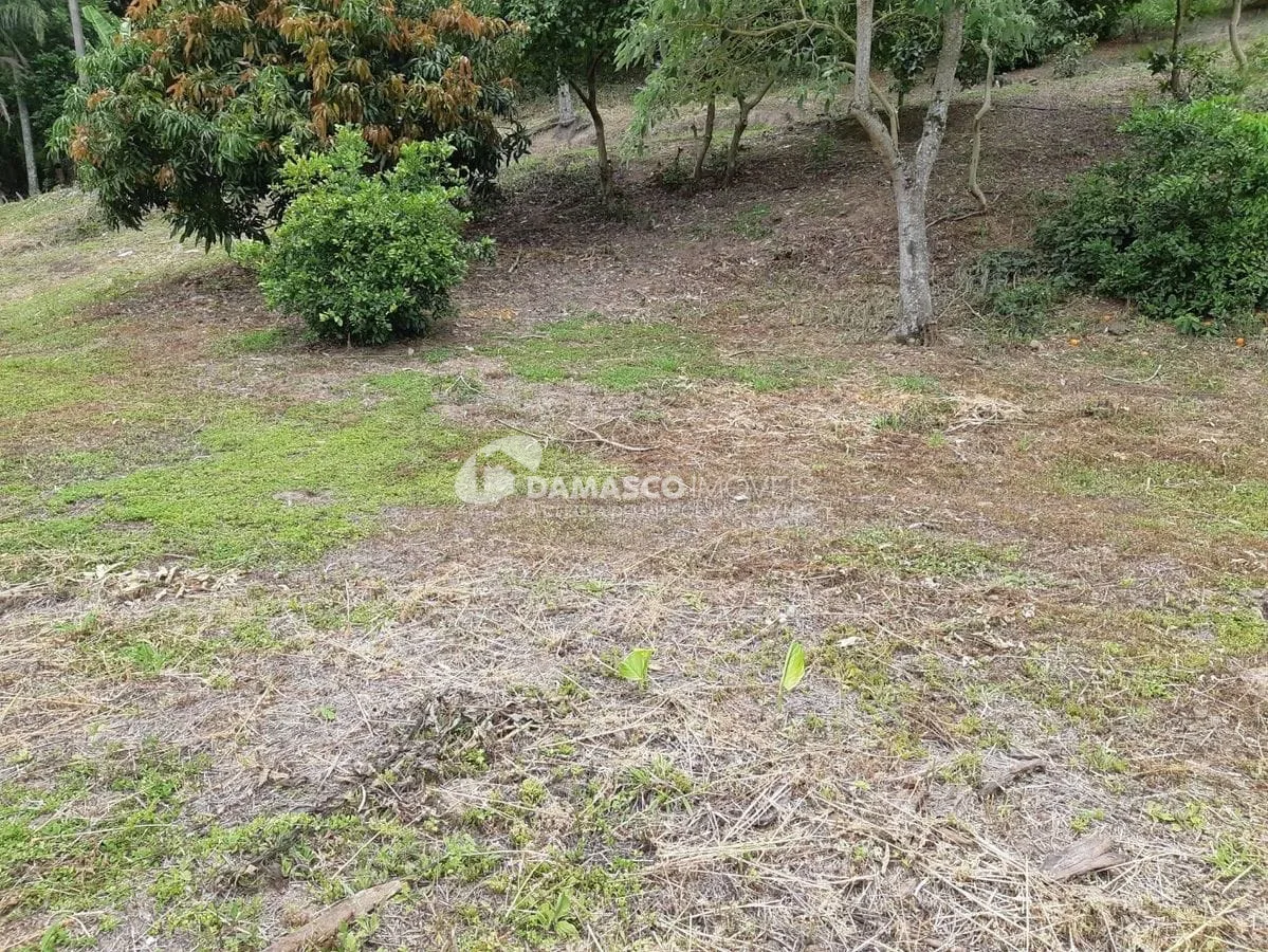 Sítio à venda, Roseiral, Piedade, SP