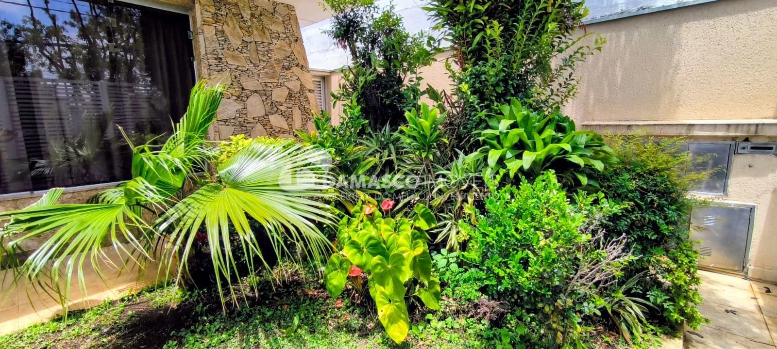 Casa Térrea Alto Padrão - Bairro Olímpico, São Caetano do Sul, SP