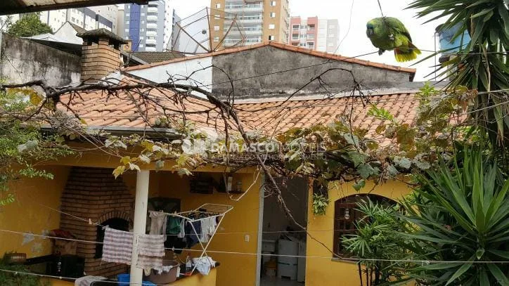 Sobrado à venda 3 Quartos, 3 Suites, 4 Vagas, 210M², Osvaldo Cruz, São Caetano do Sul - SP
