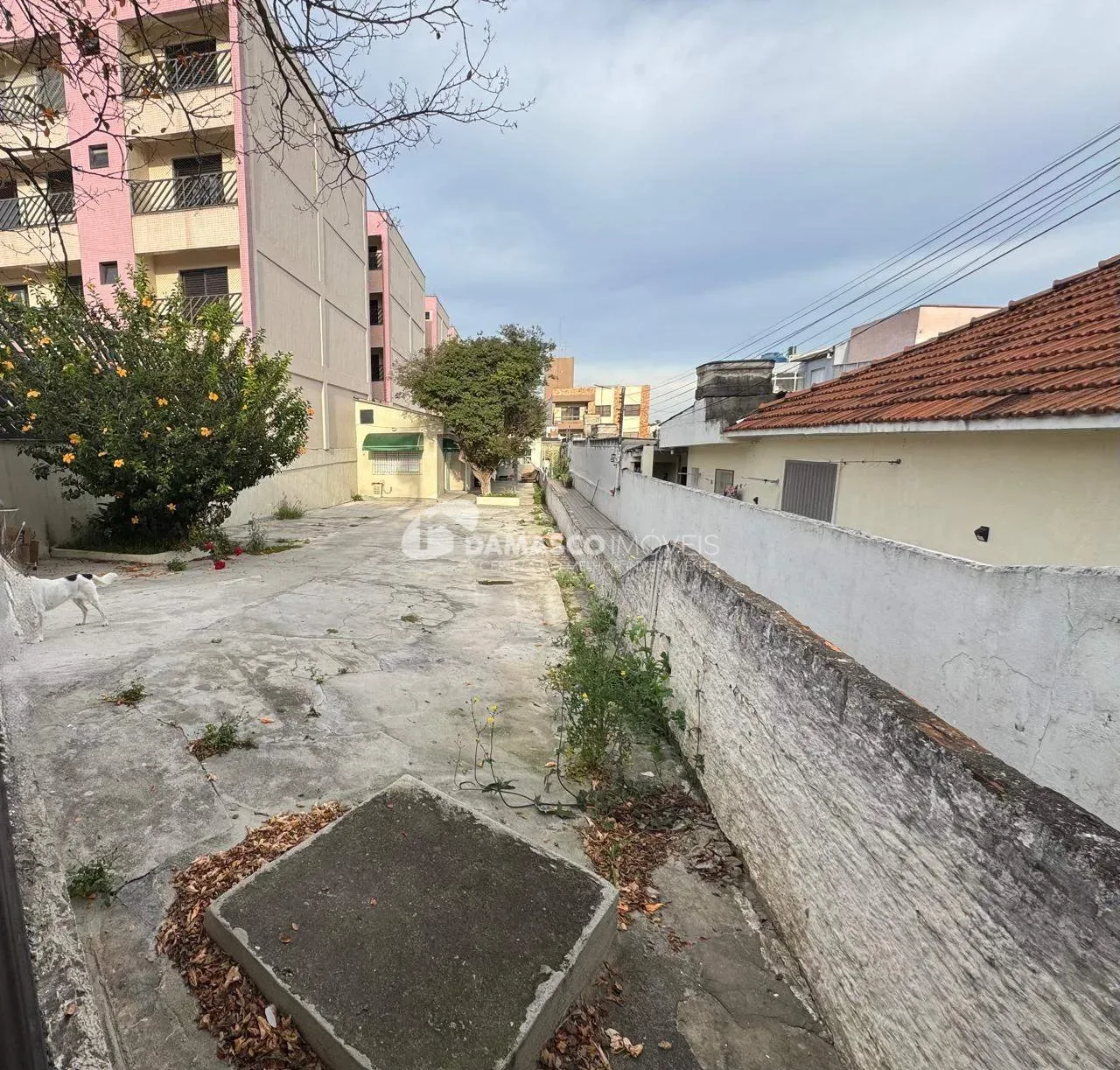 Casa à venda, Santa Maria, São Caetano do Sul, SP