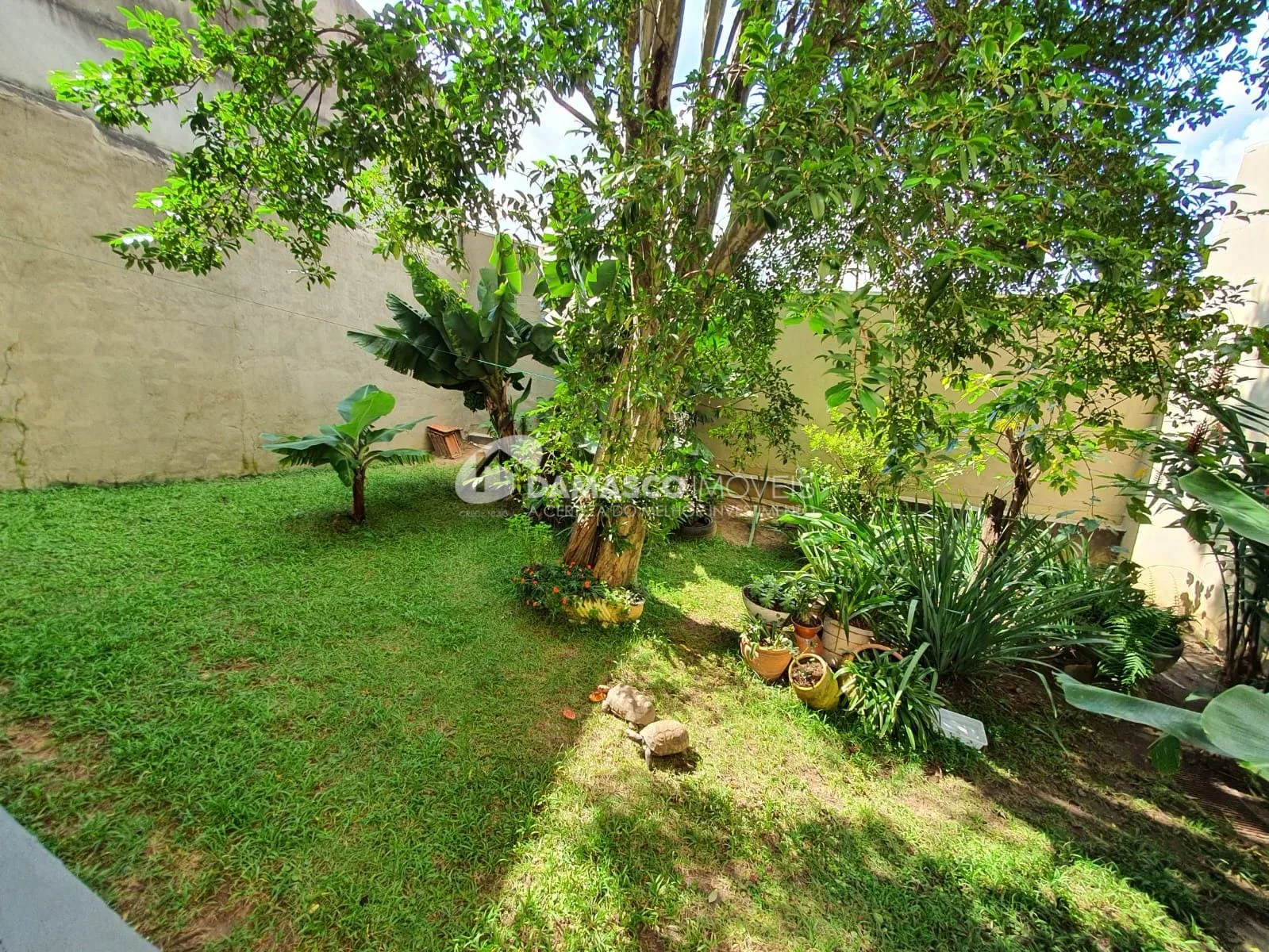 Casa à venda, Osvaldo Cruz, São Caetano do Sul, SP