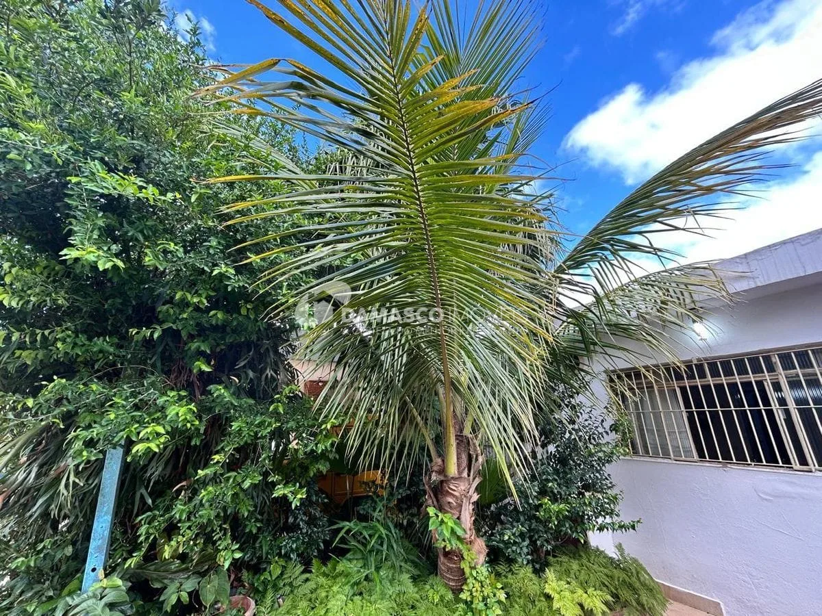 Casa Térrea  -  Palmares  com Terreno 256 m2