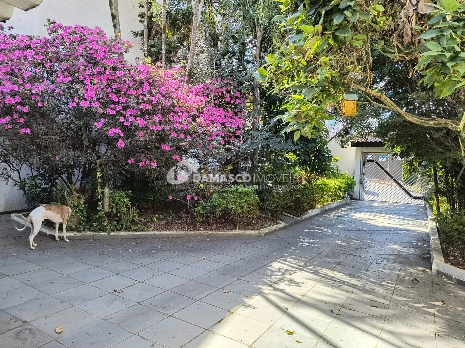 Casa à Venda no Santa Maria, Santo André | 400 m² de Terreno | 2 Dormitórios | 1 Suíte