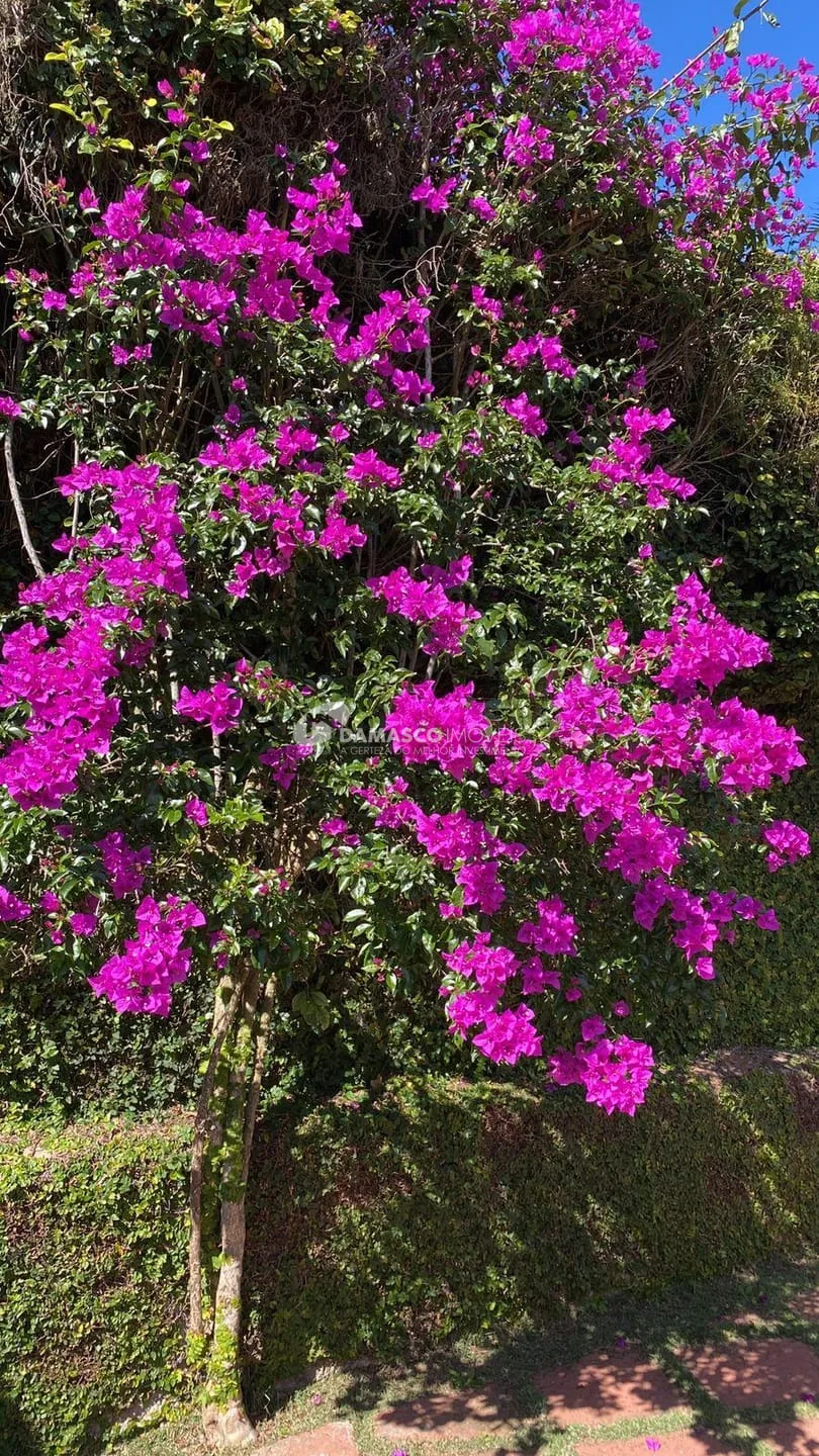 Chácara à venda, Cachoeira, Ibiúna, SP