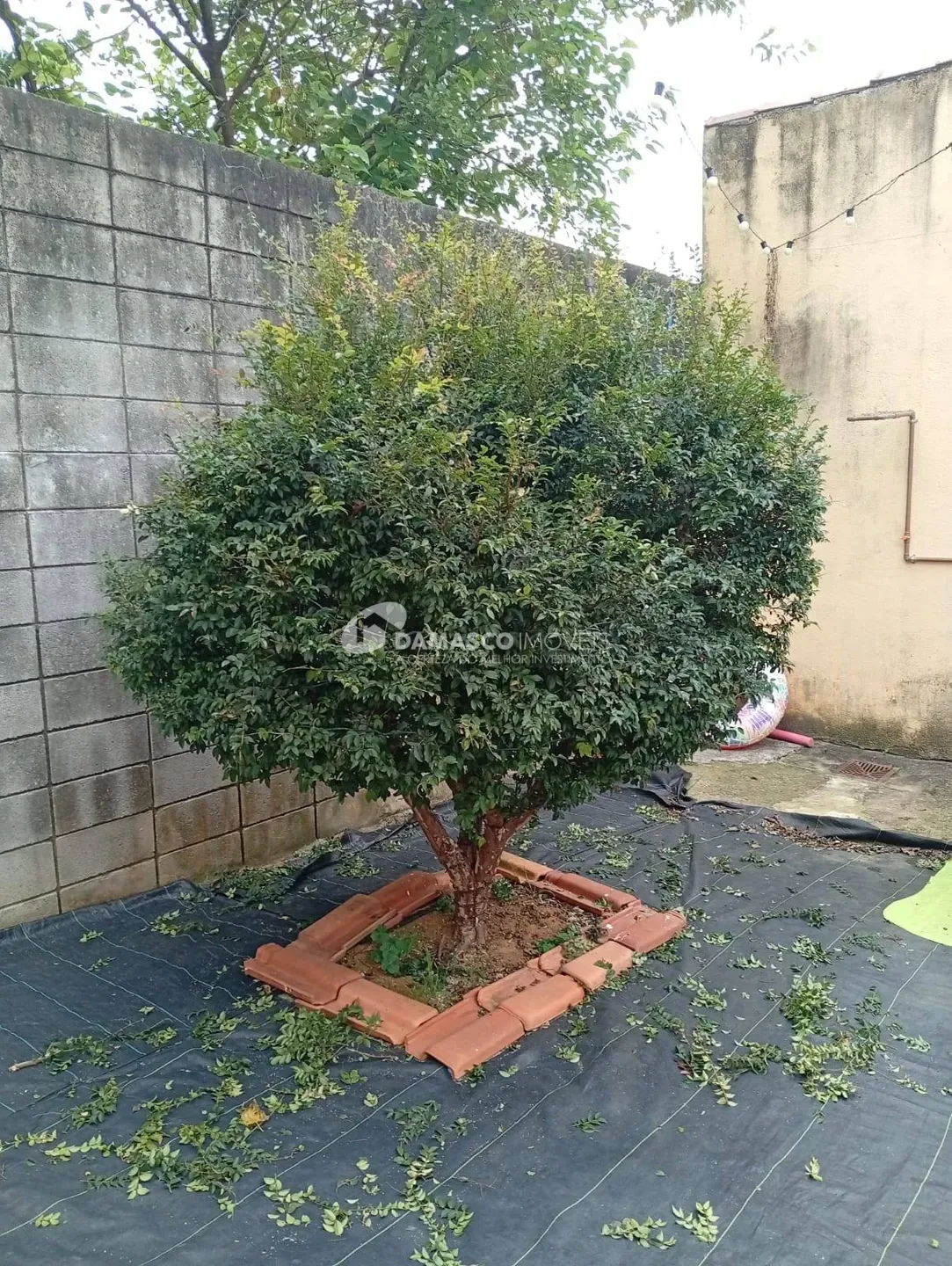 Casa à venda, Olímpico, São Caetano do Sul, SP