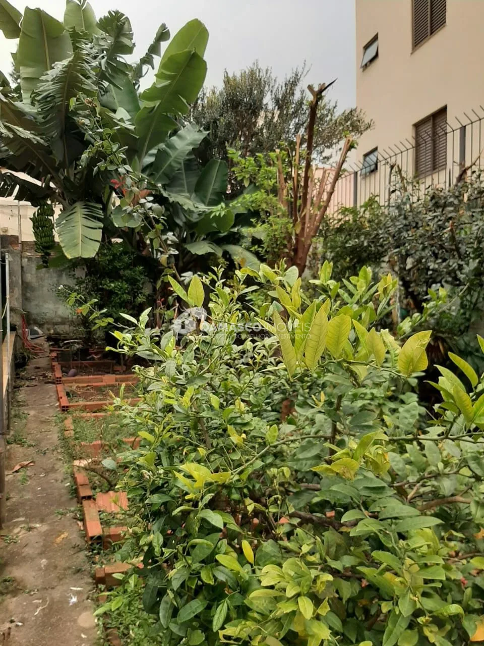 Casa à venda 2 Quartos, 2 Vagas, 187M², Barcelona, São Caetano do Sul - SP