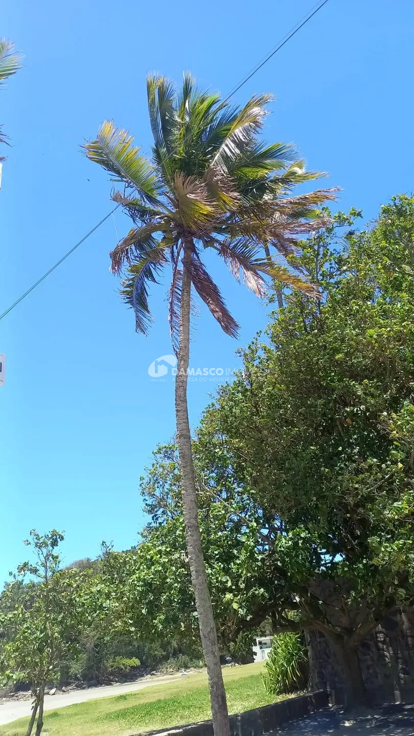 Apartamento para locação, Enseada, Guarujá, SP