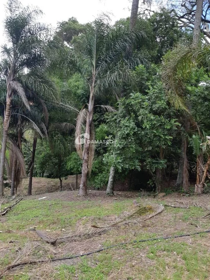 Sítio à venda, Roseiral, Piedade, SP