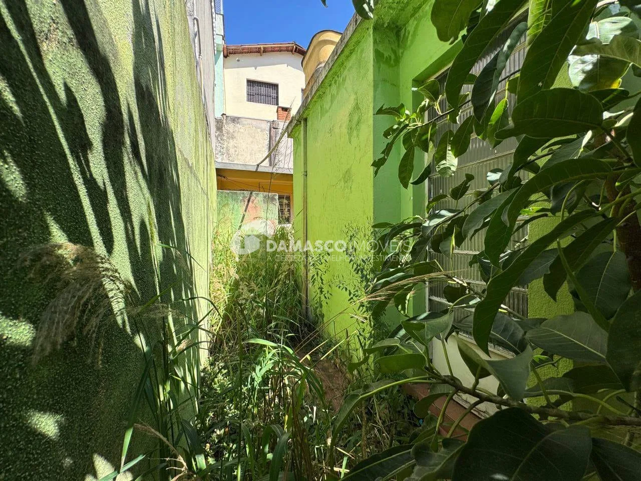 Casa à venda, Santa Paula, São Caetano do Sul, SP