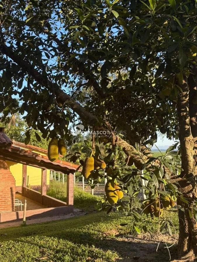 Haras - Tanquinho - Porto Feliz