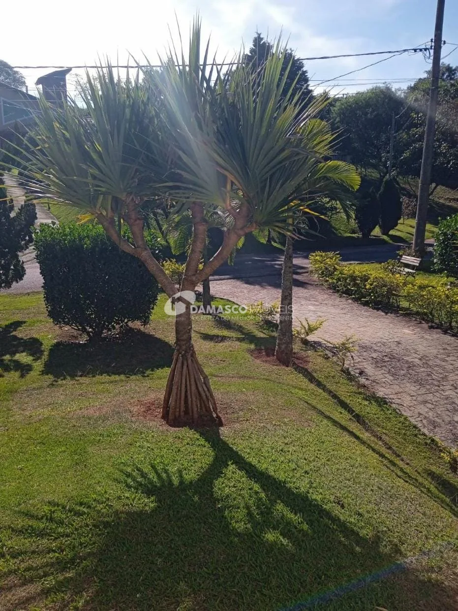 Casa à venda 3 Quartos, 3 Suites, 450M², Avenida Estrutural Leste, Ibiúna - SP