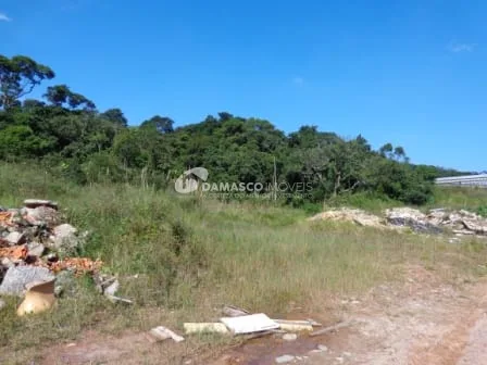 Terreno à venda Parque São Vicente, Mauá - SP