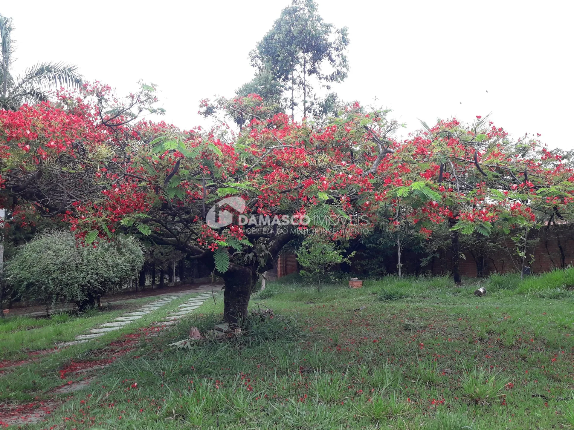 Chácara à venda, Chácara dos Pinhais, Boituva, SP