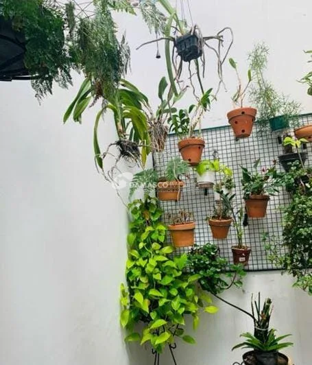 Sobrado à venda 3 Quartos, 3 Vagas, 150M², Santa Paula, São Caetano do Sul - SP