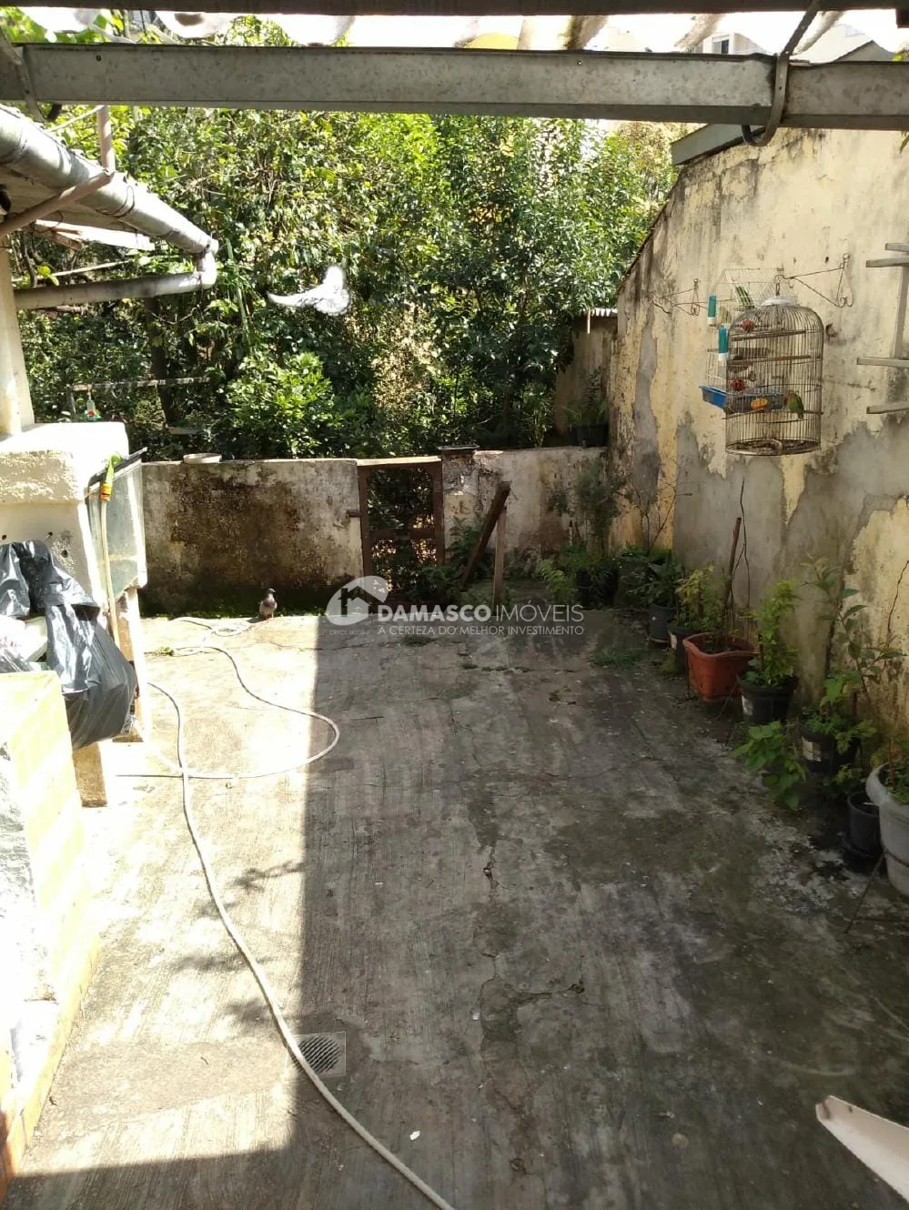 Casa à venda 2 Quartos, 2 Vagas, 300M², Vila Bela, São Paulo - SP