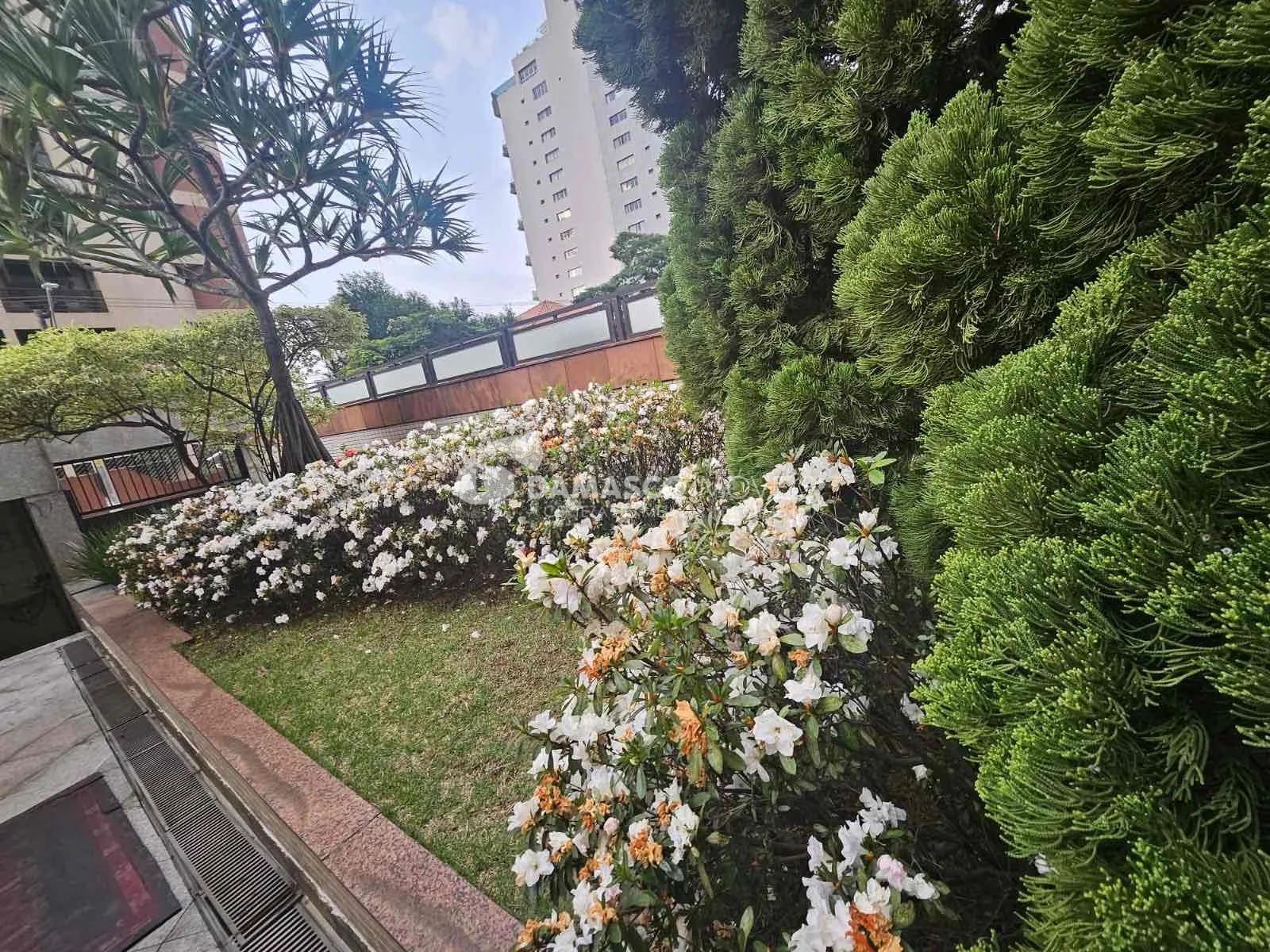 Apartamento padrão à Venda, Santa Paula, São Caetano do Sul, SP
