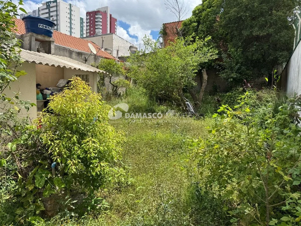 Casas em terreno Grande