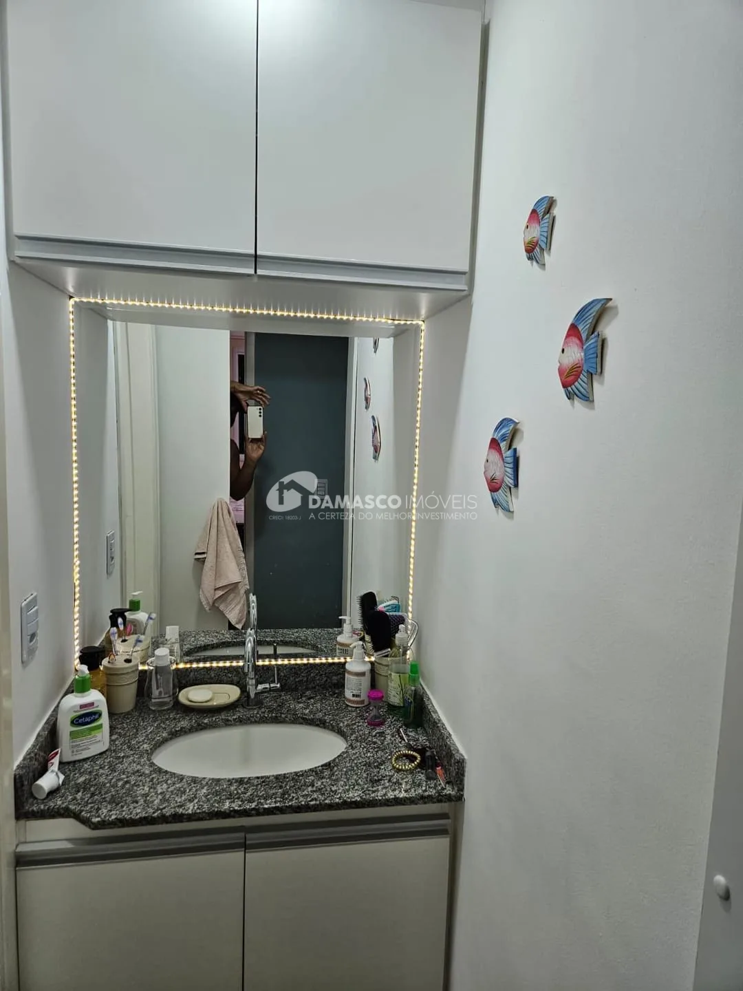 Apartamento à venda, Vila Amália (Zona Norte), São Paulo, SP