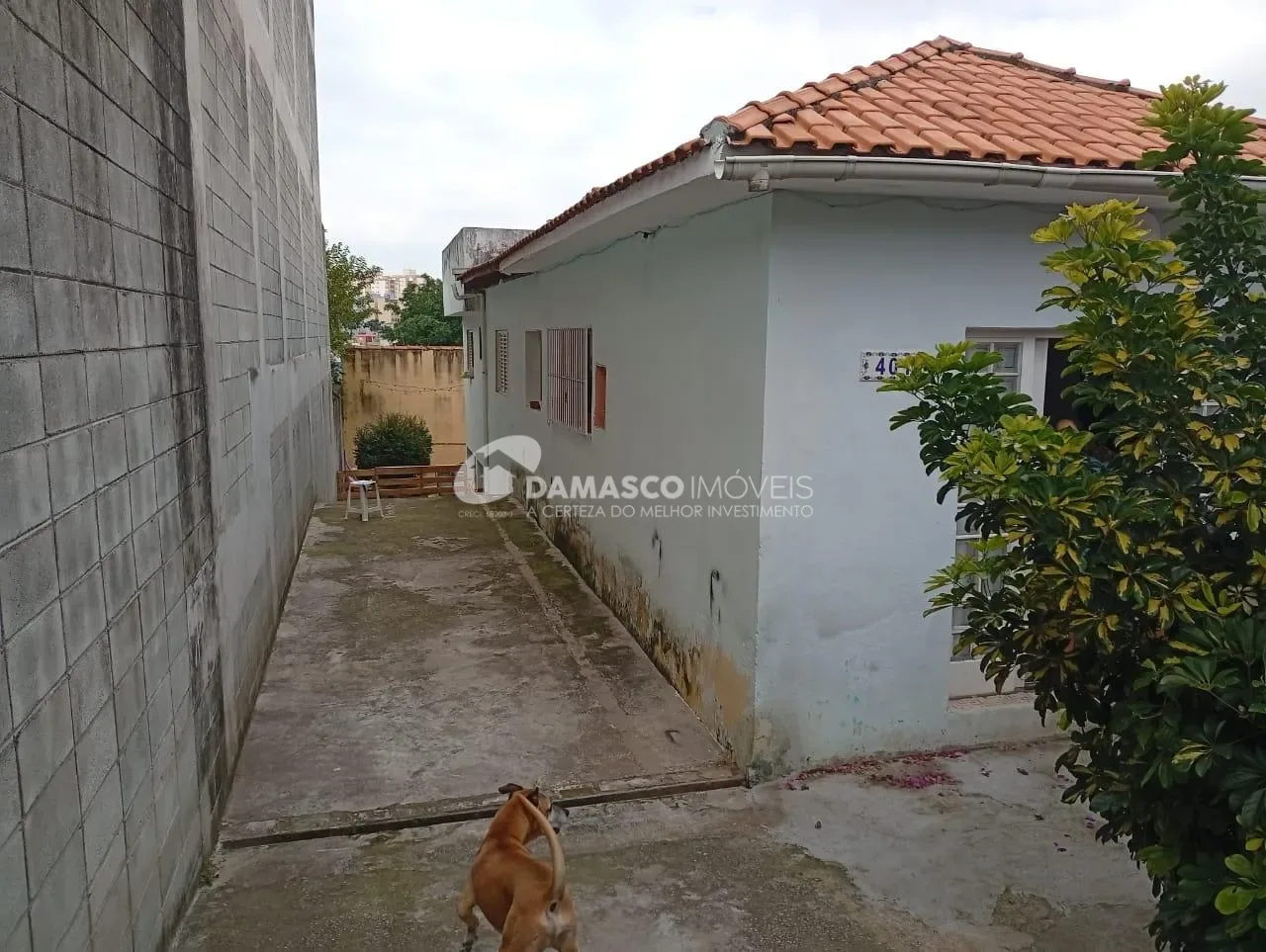 Casa à venda, Olímpico, São Caetano do Sul, SP