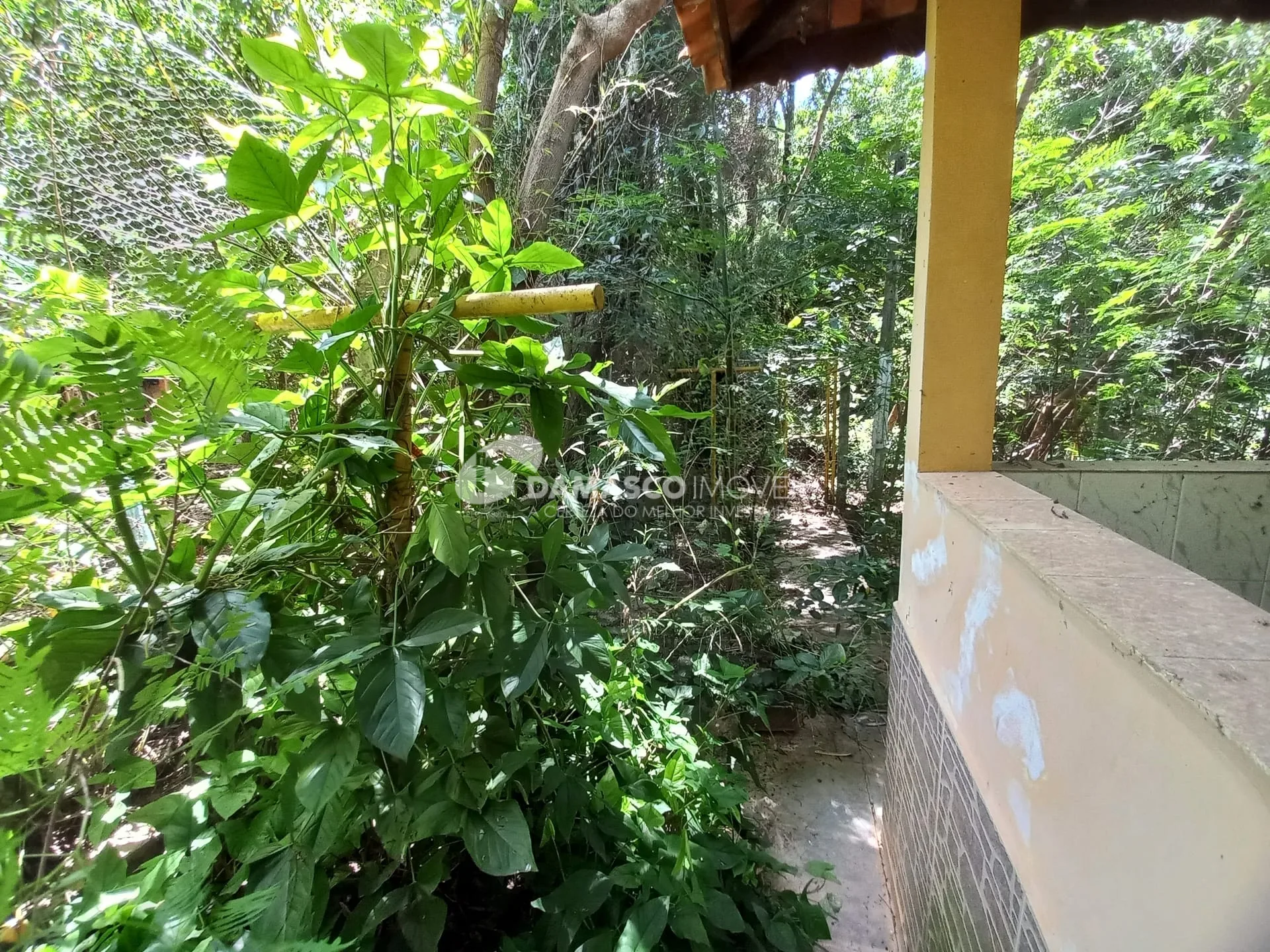 Chácara à venda, Chácara dos Pinhais, Boituva, SP
