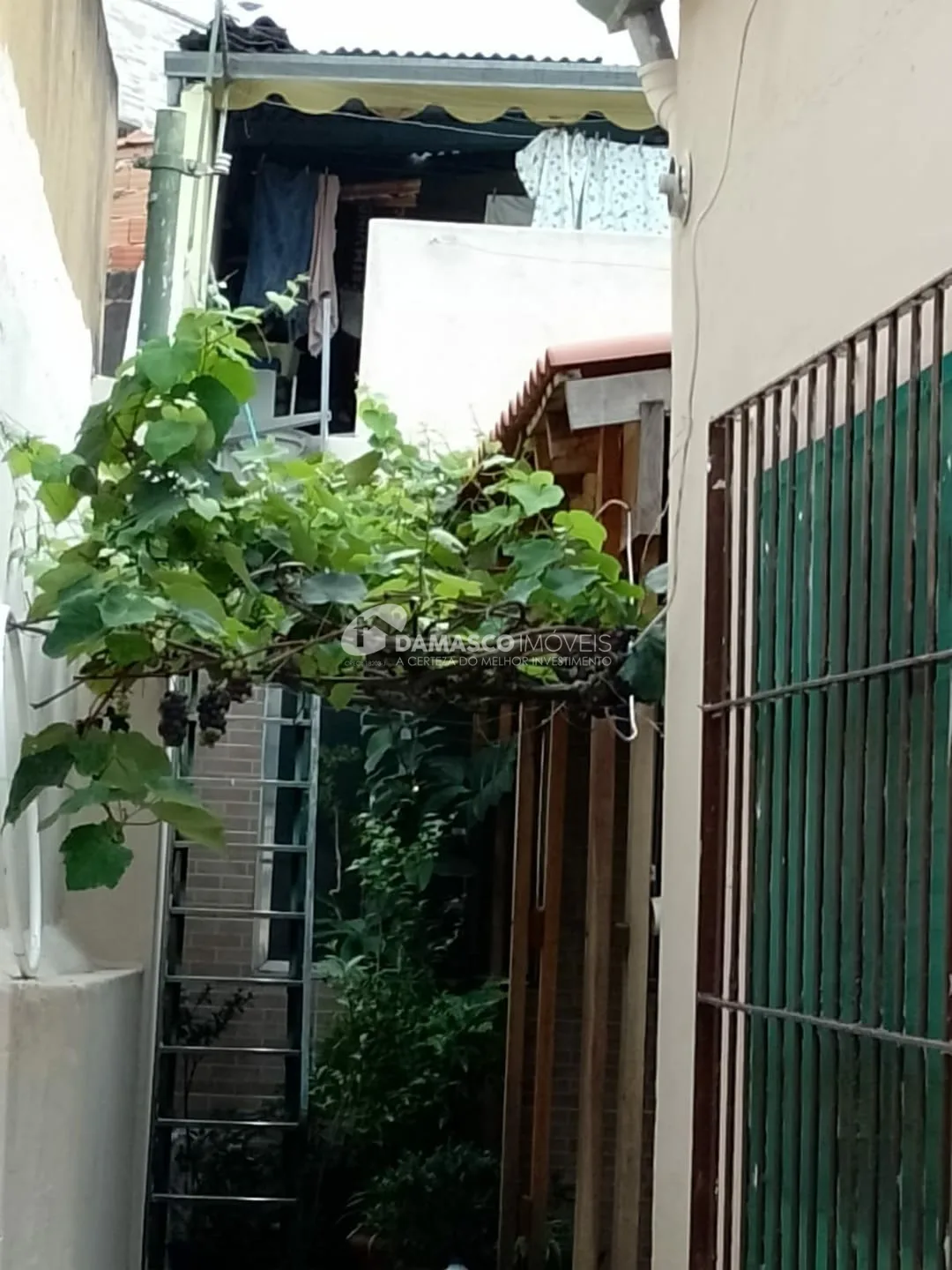 Casa à venda 2 Quartos, 1 Vaga, Vila Palmares, Santo André - SP