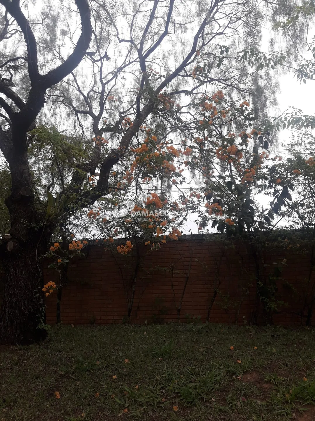 Chácara à venda, Chácara dos Pinhais, Boituva, SP