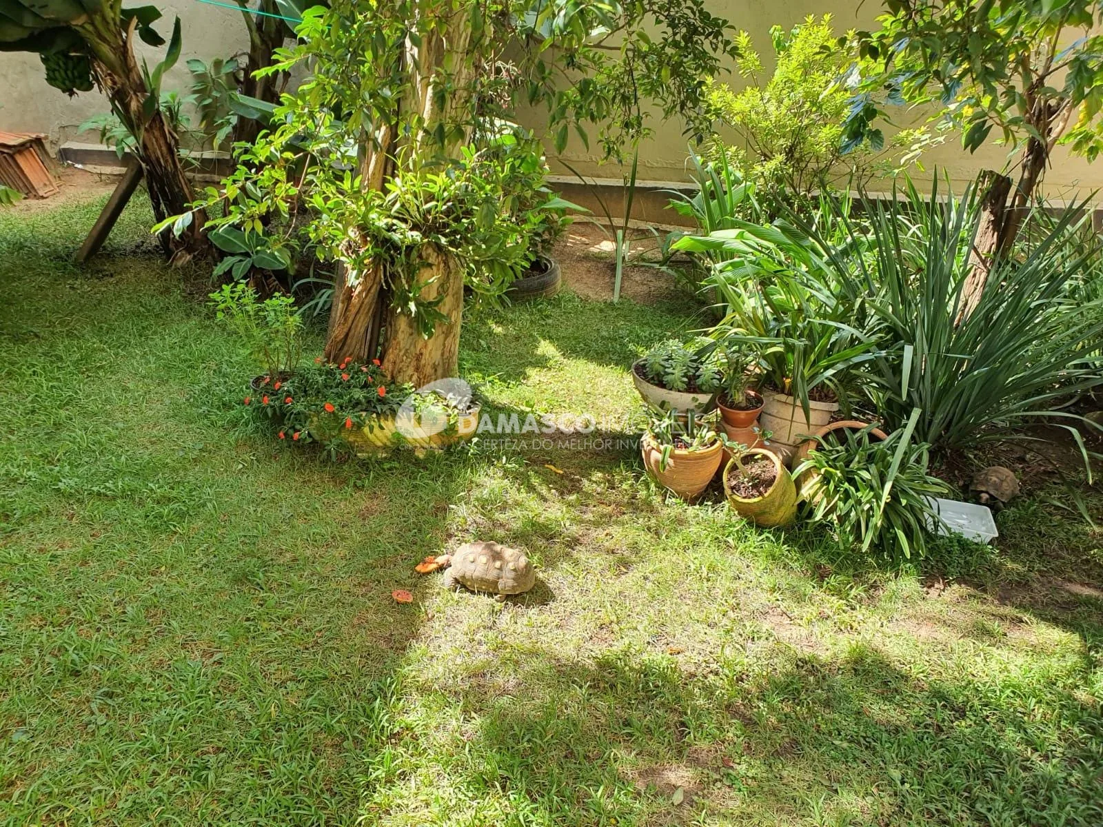Casa à venda, Osvaldo Cruz, São Caetano do Sul, SP