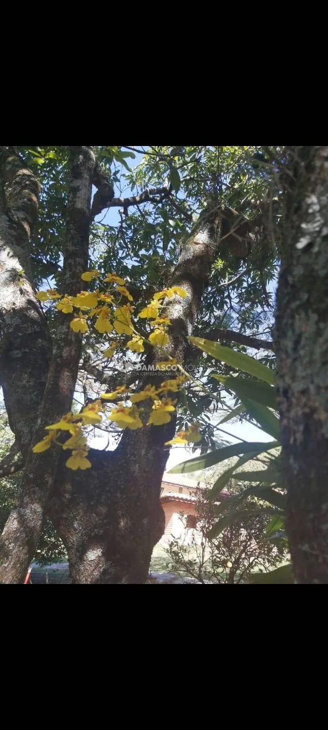 Chácara à venda, Chácara dos Pinhais, Boituva, SP