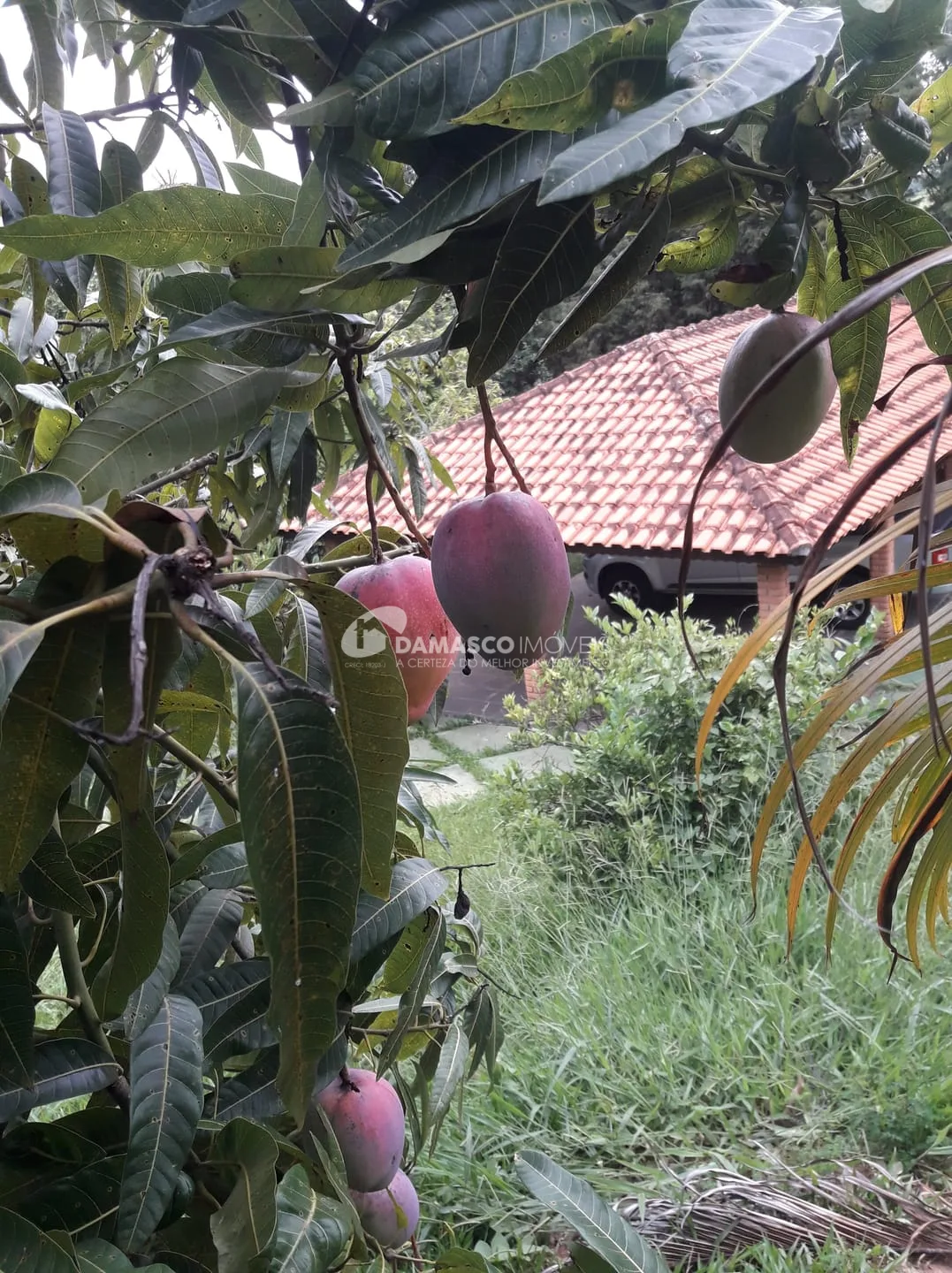 Chácara à venda, Chácara dos Pinhais, Boituva, SP