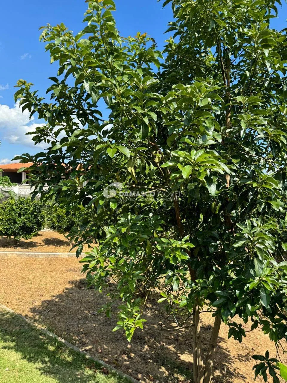 Chácara à venda, Jardim Cananéia, Pilar do Sul, SP