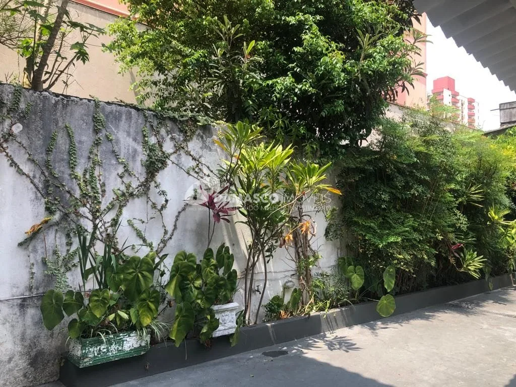Salão para Locação Centro, Santo André - SP