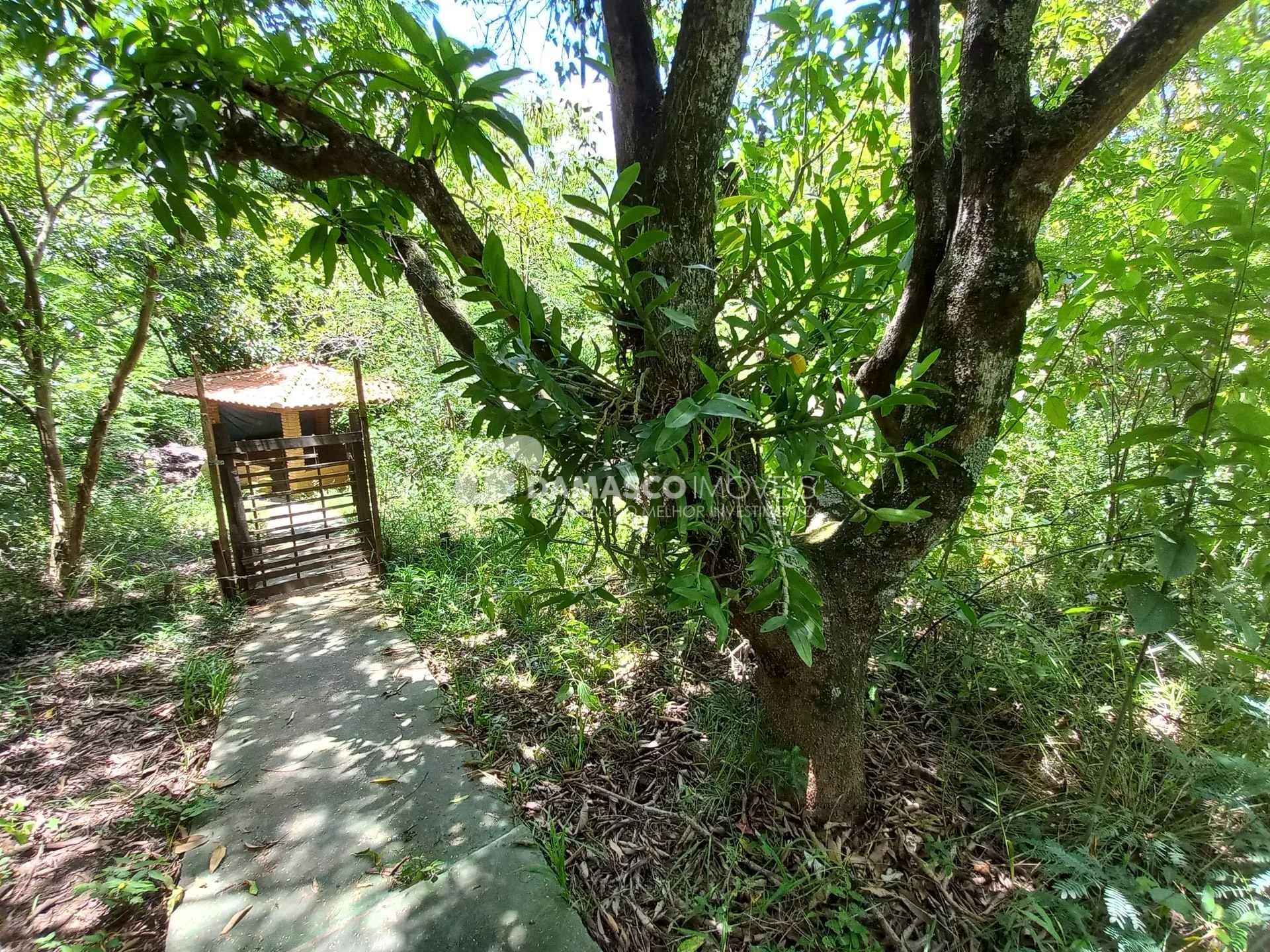 Chácara à venda, Chácara dos Pinhais, Boituva, SP