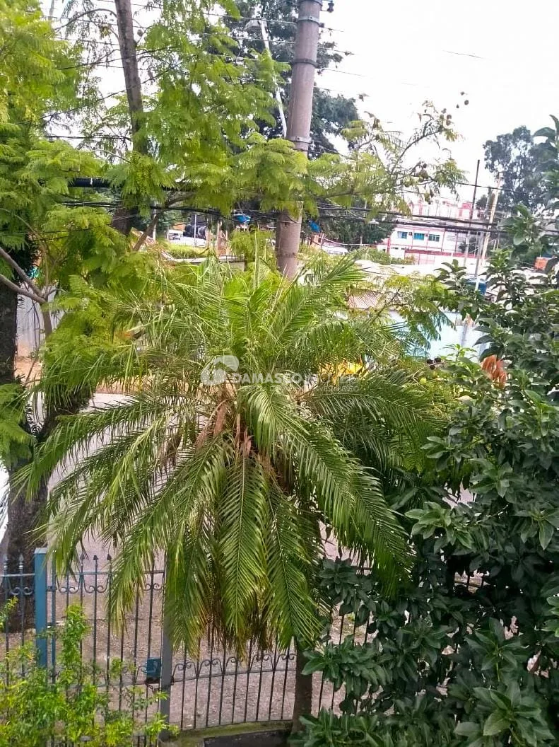Terreno à venda Jardim Bom Pastor, Santo André - SP