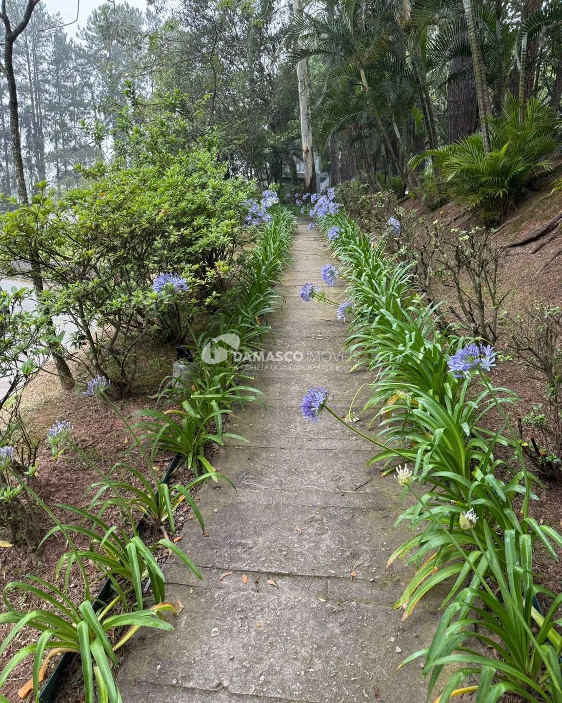 Apartamento  à venda, Parque Terra Nova, São Bernardo do Campo, SP