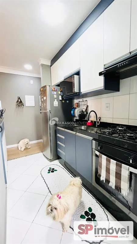 Apartamento à venda, Vila Curuçá, Santo André, SP