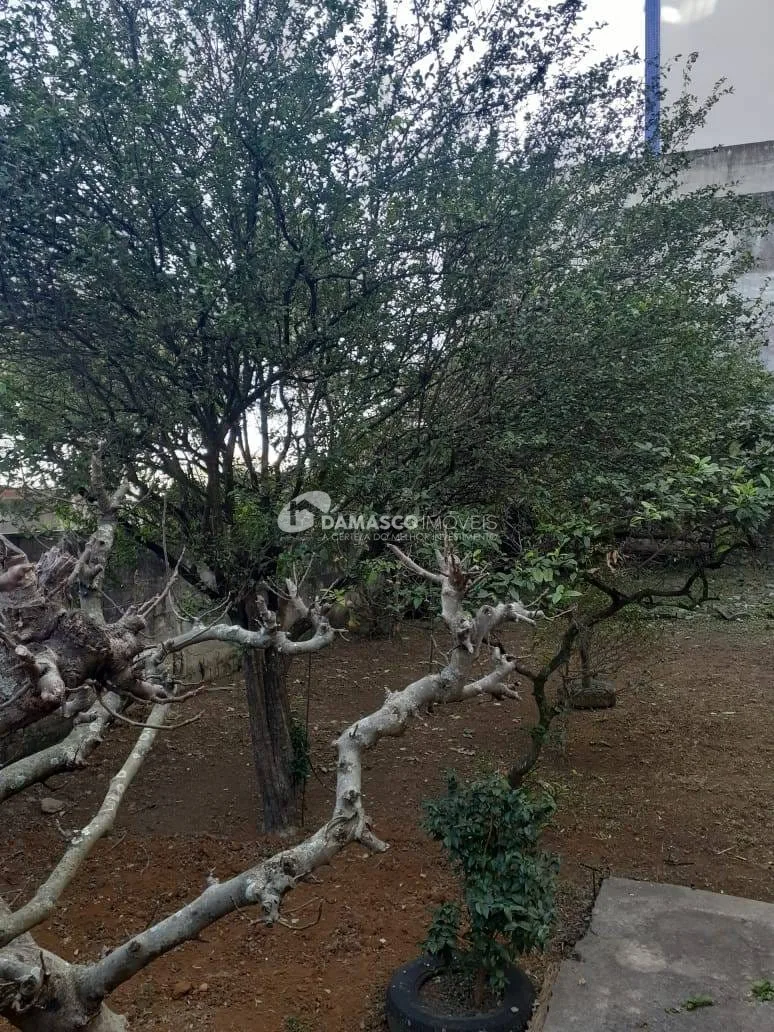 Casa Térrea à venda 2 dorm, 6 vagas, Santa Maria, São Caetano do Sul, SP