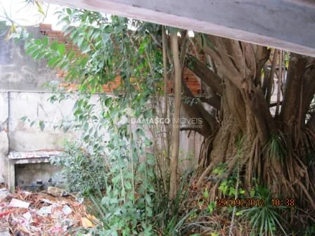 Sobrado à venda 2 Quartos, 2 Vagas, 150M², Santa Maria, São Caetano do Sul - SP