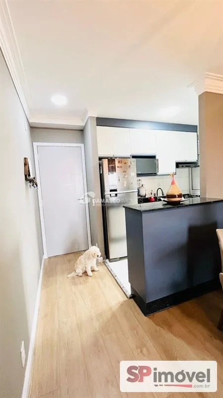 Apartamento à venda, Vila Curuçá, Santo André, SP
