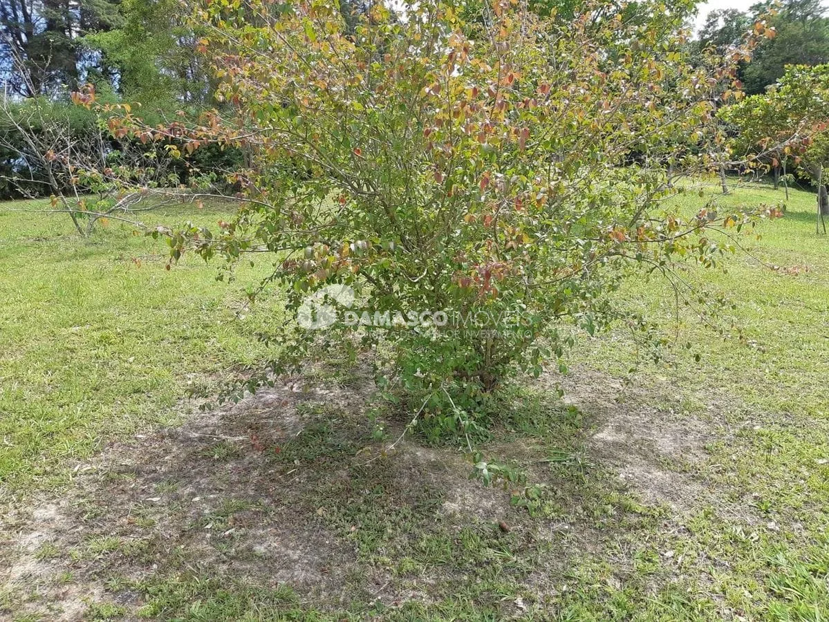 Sítio à venda, Roseiral, Piedade, SP