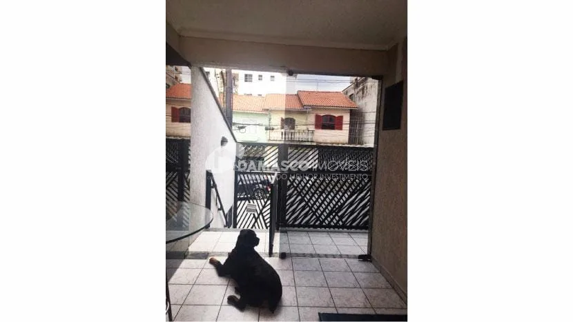 Casa à venda 3 Quartos, 1 Suite, 3 Vagas, 250M², Santa Maria, São Caetano do Sul - SP