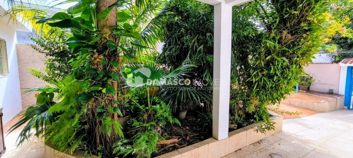 Casa Térrea  -  Palmares  com Terreno 256 m2